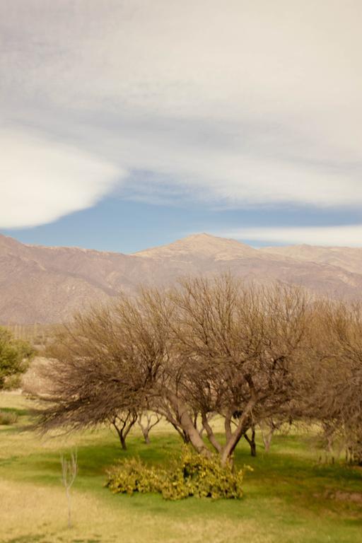 Altalaluna Hotel Boutique & Spa Cafayate Kültér fotó